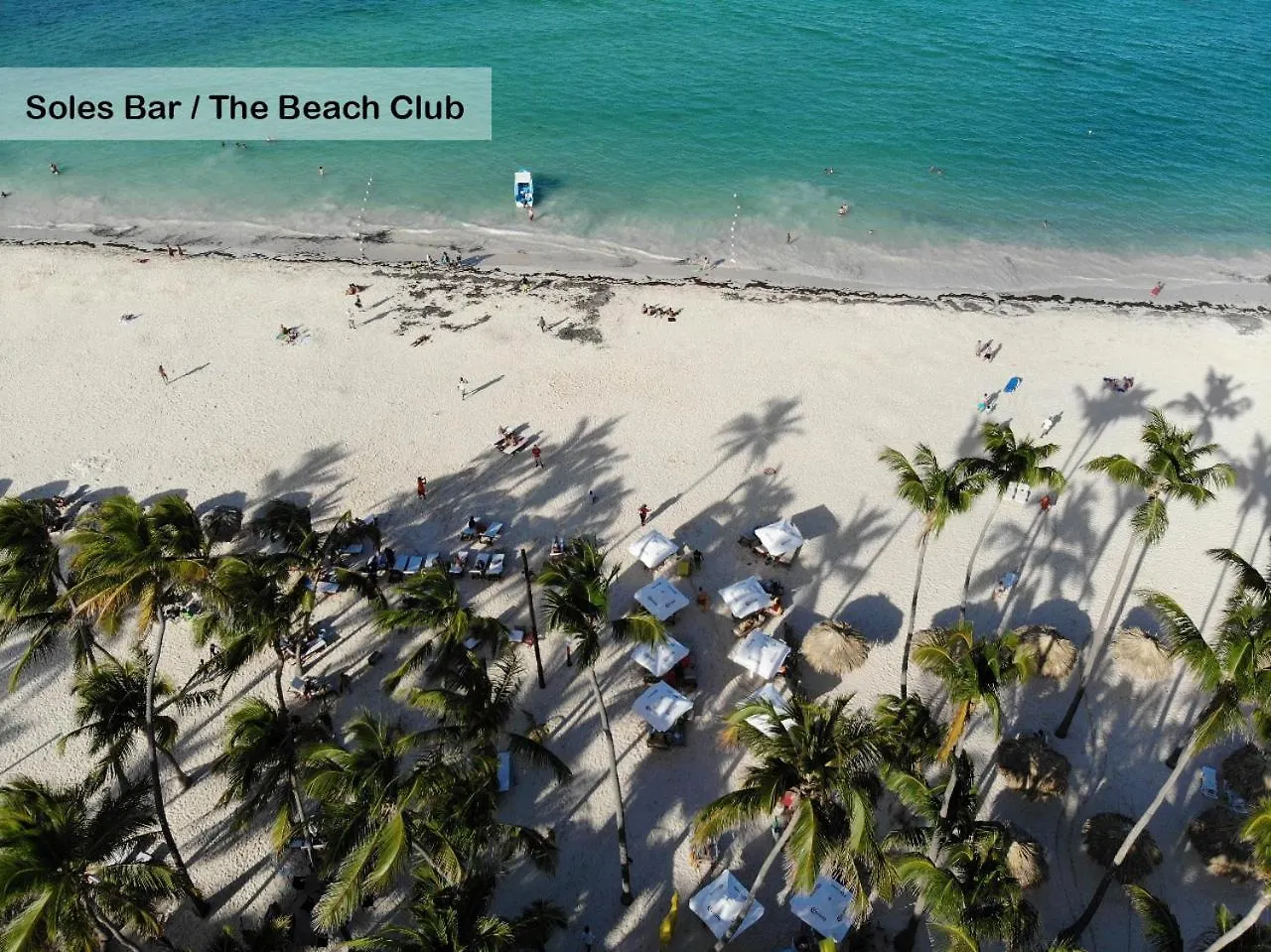 Tropical Apartment 2 Bedroon In Los Corales プンタ・カナ