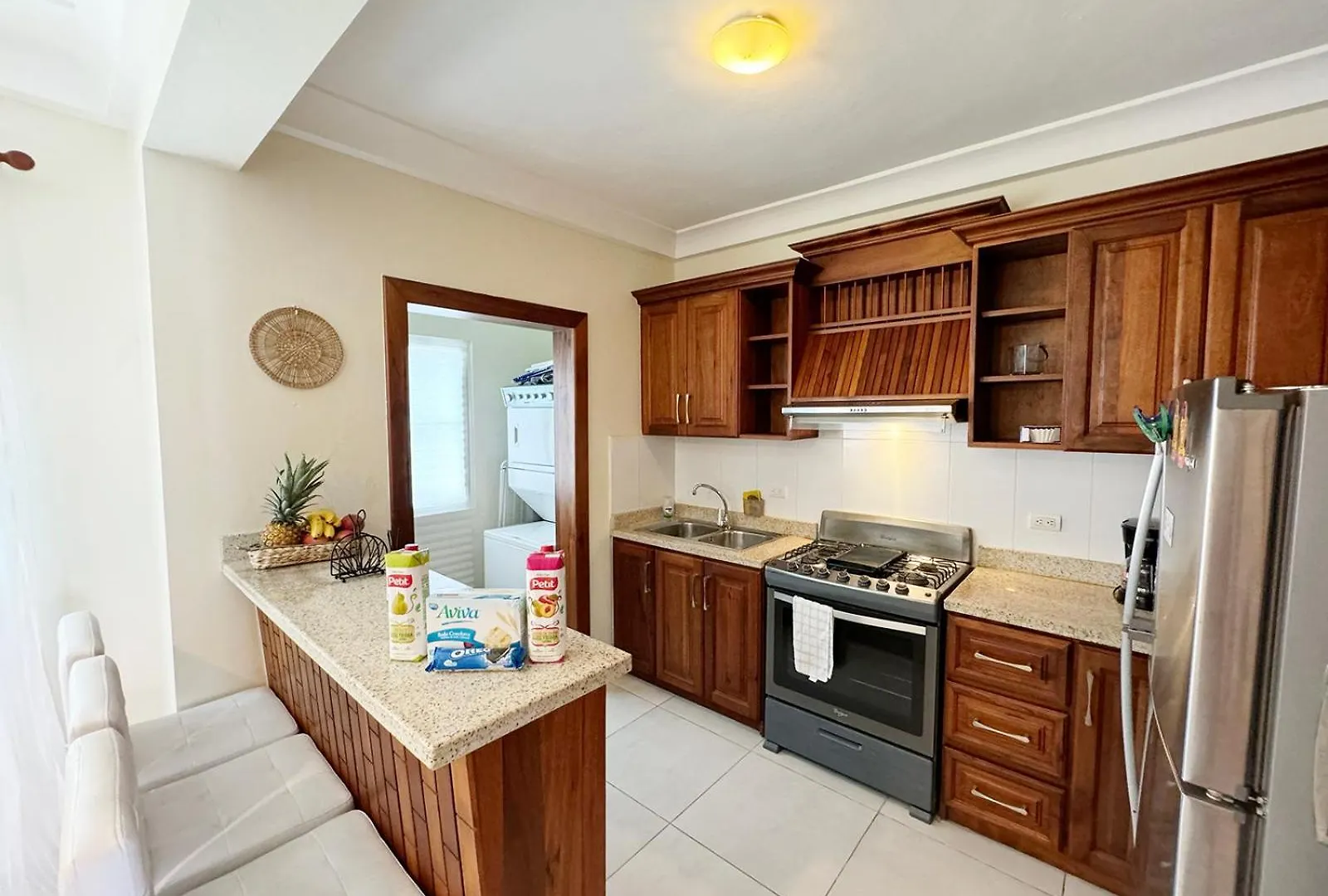 Tropical Apartment 2 Bedroon In Los Corales プンタ・カナ